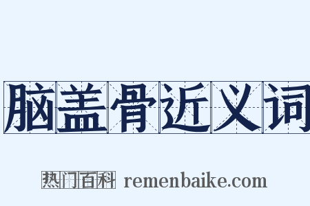脑盖骨近义词是什么意思的图片